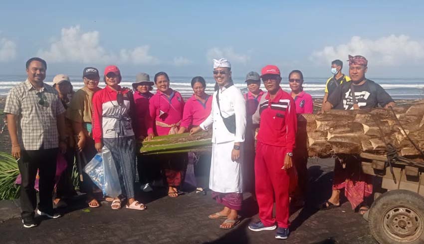 Nusabali Cegah Abrasi Pujer Ditanam Di Pantai Kelating