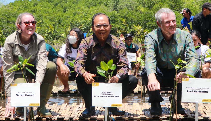 Nusabali Pelestarian Kawasan Mangrove Bali Dapat Pujian