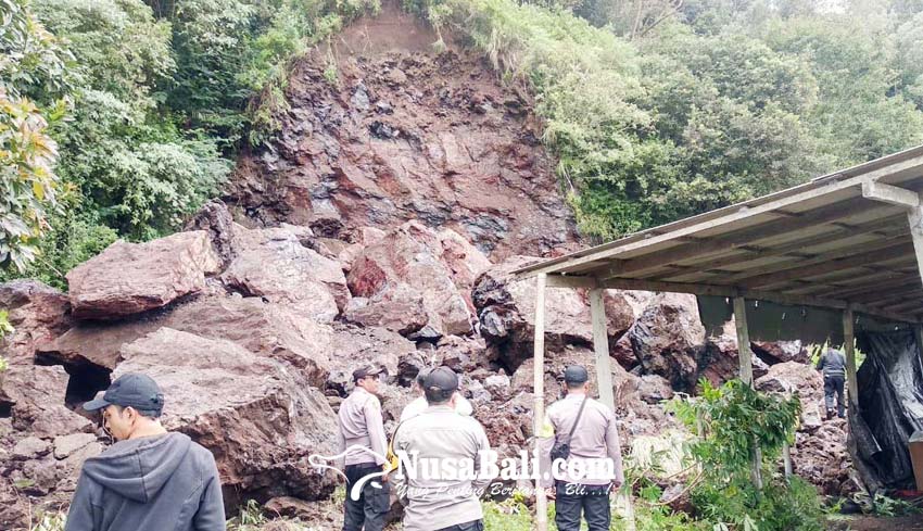 Nusabali Cuaca Ekstrem Bangli Dikepung Pohon Tumbang Dan Longsor