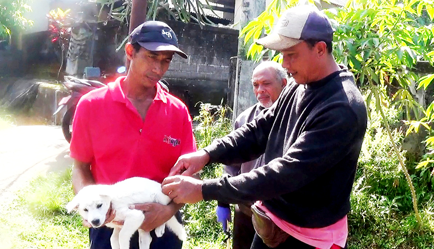 Nusabali Vaksinasi Anti Rabies Sisakan Desa