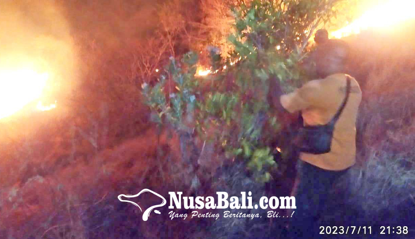 NUSABALI Tiga Kecamatan Rawan Kebakaran Lahan