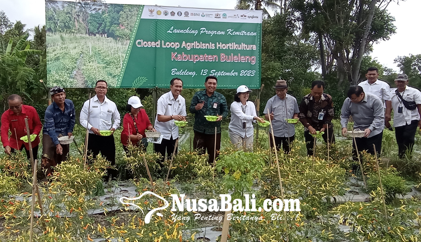 NUSABALI Buleleng Jadi Percontohan Program Agribisnis Hortikultura