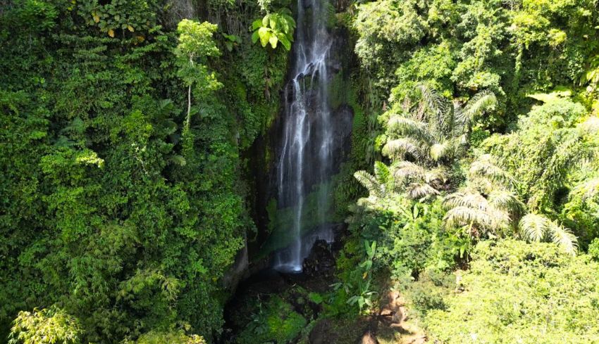 NUSABALI Air Terjun Bengbengan Surga Tersembunyi Di Bali Utara