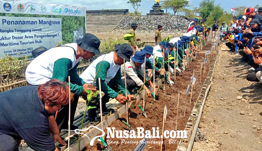 NUSABALI Hijaukan Kawasan BMTH Pelindo Tanam 6 300 Bibit Mangrove