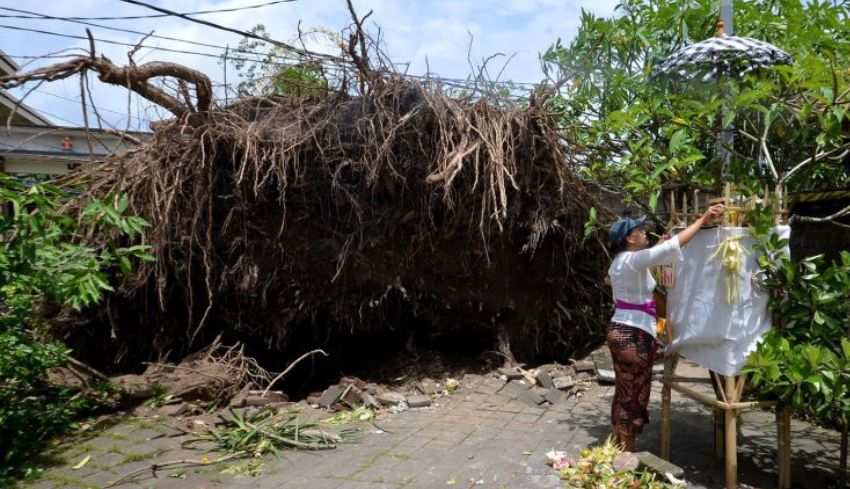 NUSABALI Waspada Angin Kencang Dan Gelombang Tinggi Landa Bali