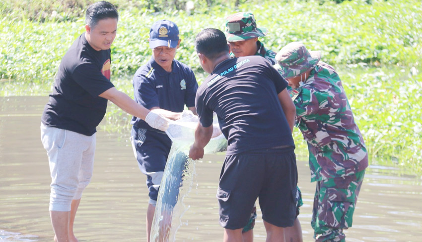 NUSABALI Bibit Ikan Nila 2 000 Ekor Ditebar Di Sungai Saba