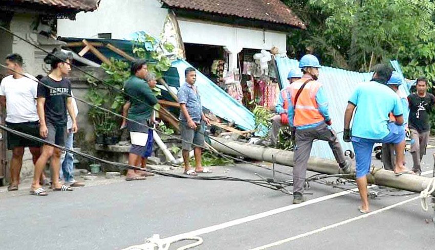 NUSABALI Tiang Listrik Roboh Tertimpa Pohon Kelapa