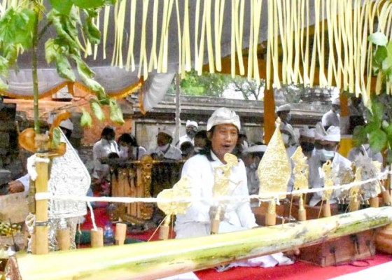 Nusabali.com - pemkot-denpasar-gelar-upacara-wisuda-bumi