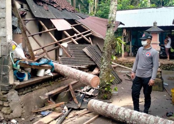 Nusabali.com - rumah-kelian-banjar-tertimpa-pohon