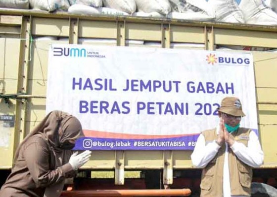 Nusabali.com - bulog-serap-satu-juta-ton-beras-petani