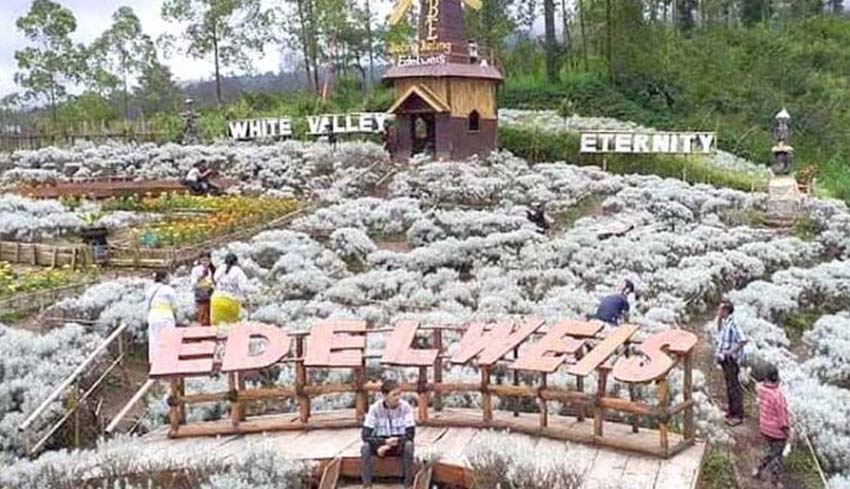 Nusabali Com Taman Edelweis Bali Sediakan Tempat Untuk Event Kesenian