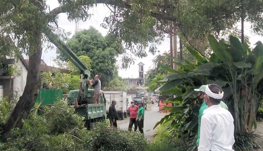 NUSABALI Com Antisipasi Pohon Tumbang TRC Sumerta Kelod Rompes Pohon