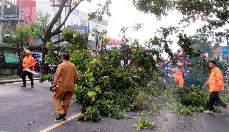 www.nusabali.com-musim-hujan-petir-sambar-palinggih-hingga-pohon-timpa-bale-bengong