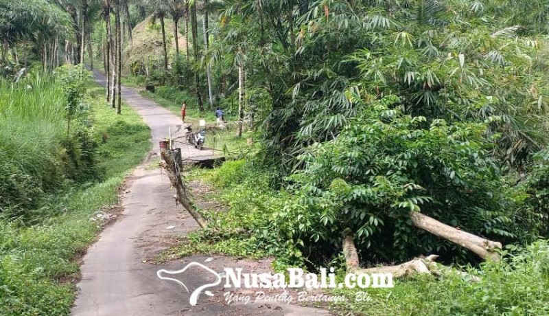 www.nusabali.com-jalan-pukuh-penglumbaran-nyaris-putus