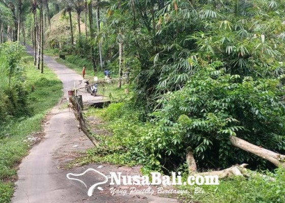 Nusabali.com - jalan-pukuh-penglumbaran-nyaris-putus