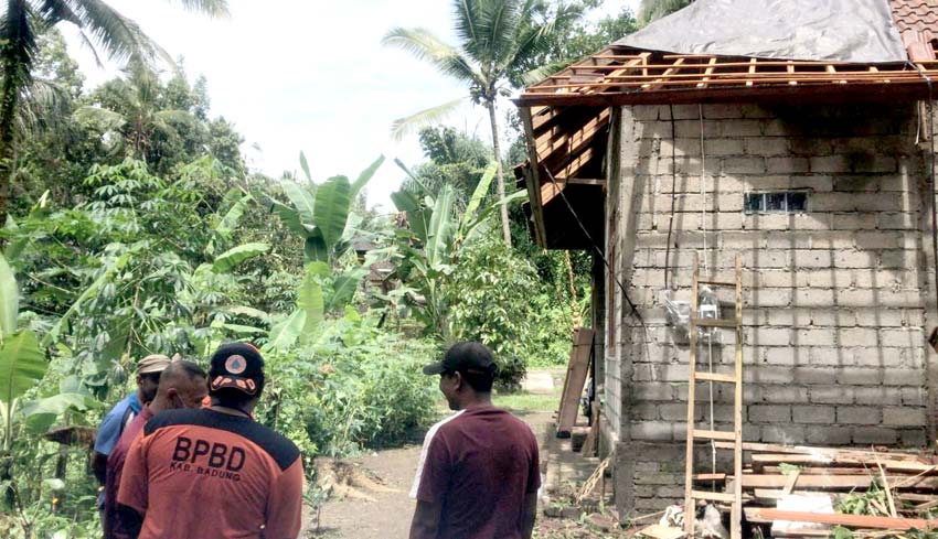 Nusabali Com Atap Rumah Warga Rusak Tertimpa Pohon