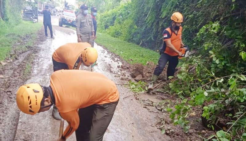 www.nusabali.com-tebing-longsor-tutup-jalan-di-pengeragoan