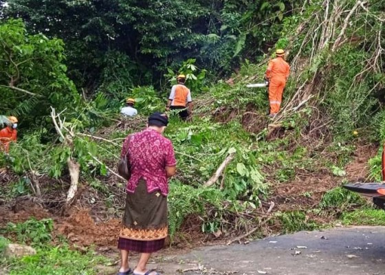 Nusabali.com - tanah-longsor-timbun-jalan-di-bading-kayu