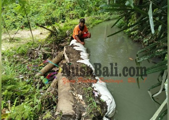 Nusabali.com - anggota-subak-seronggo-ancam-demo-pengembang