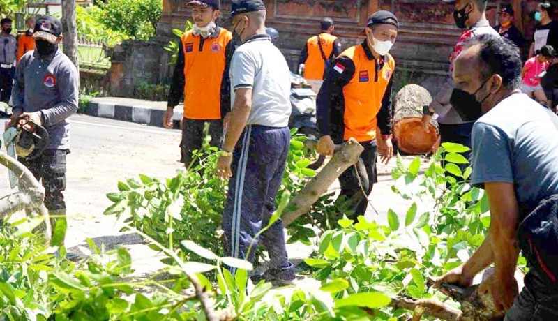 www.nusabali.com-pintu-gerbang-kantor-lurah-subagan-tertutup-pohon