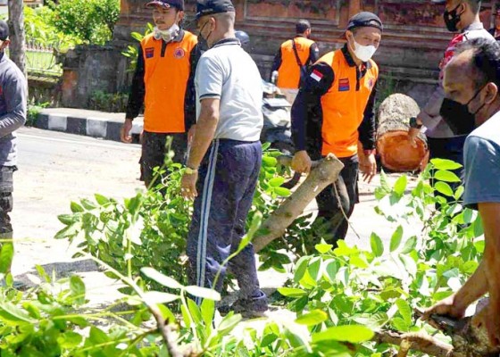 Nusabali.com - pintu-gerbang-kantor-lurah-subagan-tertutup-pohon