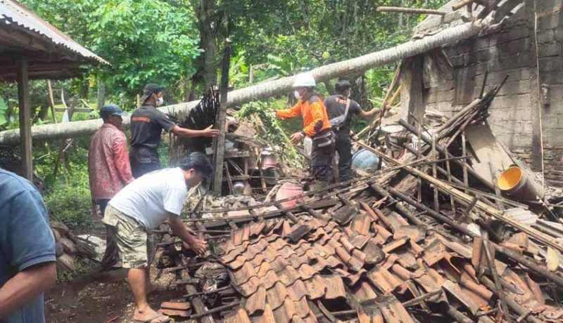 www.nusabali.com-rumah-dan-dapur-tertimpa-pohon-kelapa