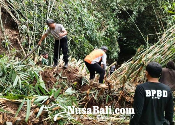 Nusabali.com - rumpun-bambu-tutup-jalan-tiga-linjong