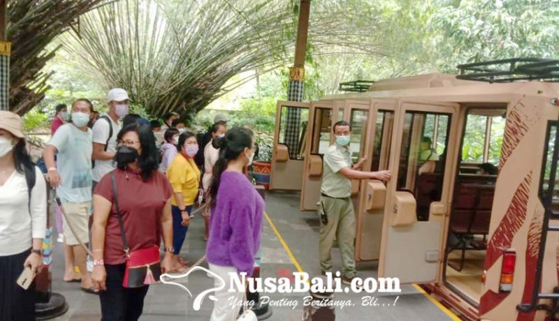 www.nusabali.com-dapat-bayi-satwa-di-pengujung-tahun-pengunjung-bali-safari-park-meningkat