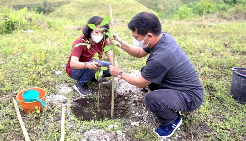 www.nusabali.com-hijaukan-bukit-teletubbies-dan-pura-pucak-mundi