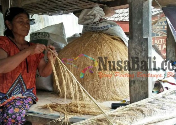 Nusabali.com - jelang-galungan-padi-bali-diburu-untuk-penjor