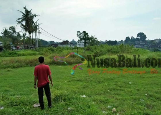 Nusabali.com - krama-sanggulan-ancam-demo-bupati