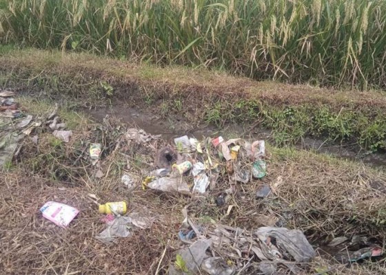 Nusabali.com - petani-keluhkan-sampah-meluber-ke-sawah