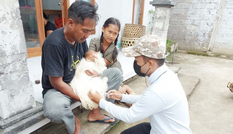 www.nusabali.com-buleleng-gencarkan-vaksinasi-rabies