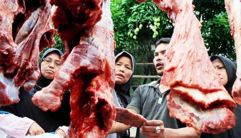 www.nusabali.com-bulog-jual-daging-kerbau-beku-murah