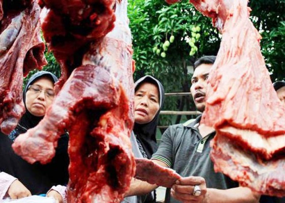 Nusabali.com - bulog-jual-daging-kerbau-beku-murah