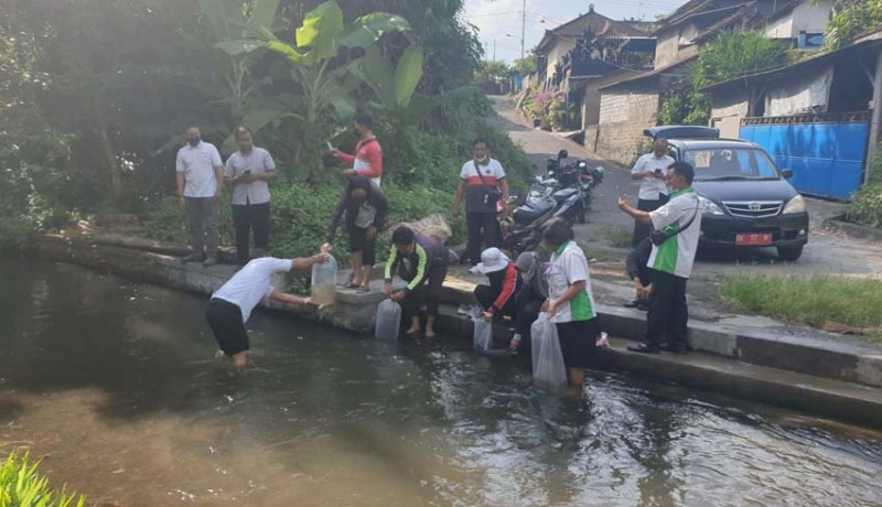 www.nusabali.com-pangdam-pimpin-tfg-pengamanan-dan-evakuasi-gpdrr