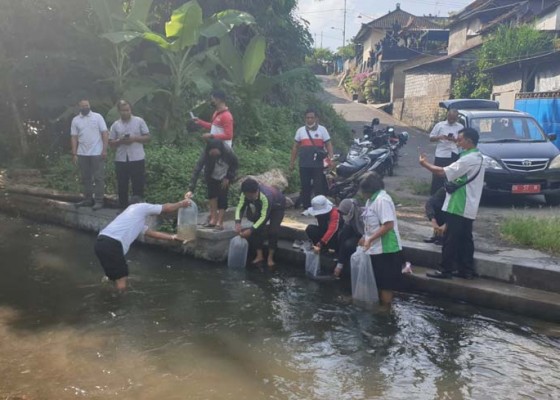 Nusabali.com - pangdam-pimpin-tfg-pengamanan-dan-evakuasi-gpdrr