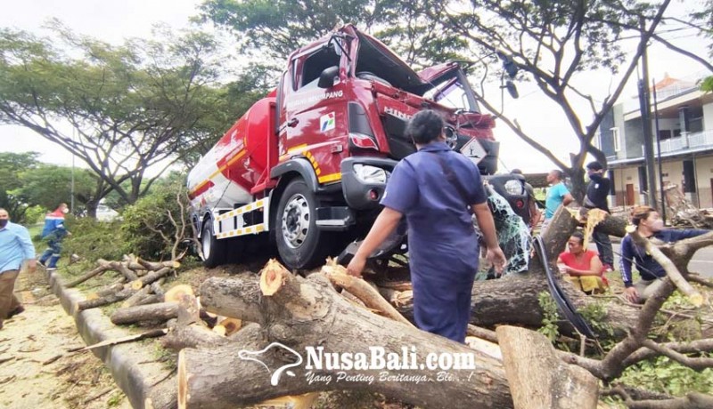 www.nusabali.com-pohon-perindang-tumbang-dihantam-truk-bbm