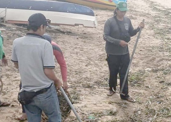 Nusabali.com - sampah-kiriman-terjang-pantai-sanur