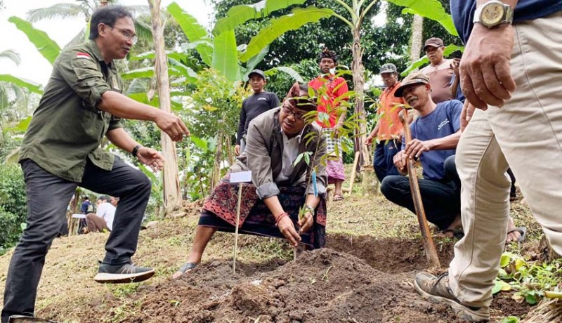 www.nusabali.com-wanagiri-kangin-jadi-kampung-durian