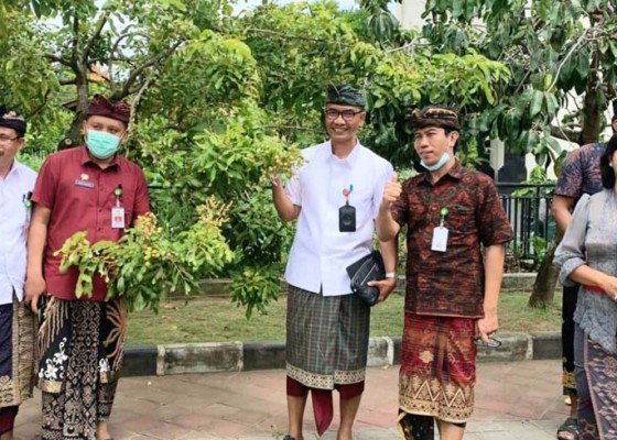 Nusabali.com - dinas-pertanian-dan-pangan-gandeng-bptp-bali