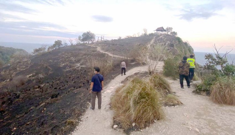 www.nusabali.com-padang-ilalang-diamond-beach-terbakar