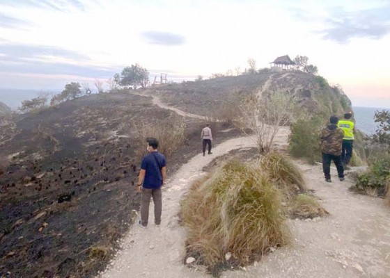 Nusabali.com - padang-ilalang-diamond-beach-terbakar