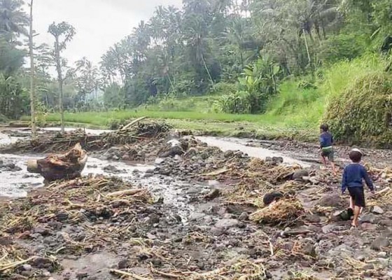 Nusabali.com - lumpur-timpa-1-ha-sawah-subak-kampikan