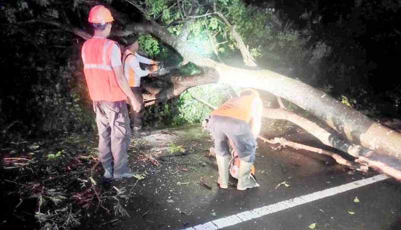 www.nusabali.com-pohon-tumbang-dan-longsor-kepung-karangasem