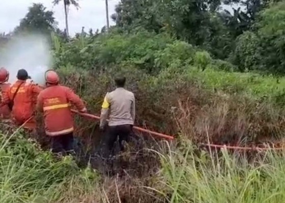 Nusabali.com - ilalang-dekat-pemukiman-penduduk-terbakar