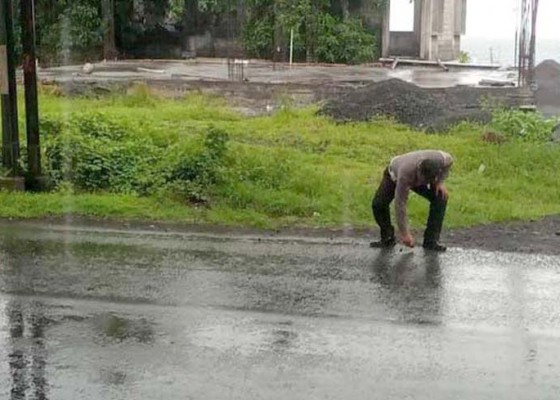 Nusabali.com - laka-maut-di-jalan-amplapura-singaraja-satu-tewas