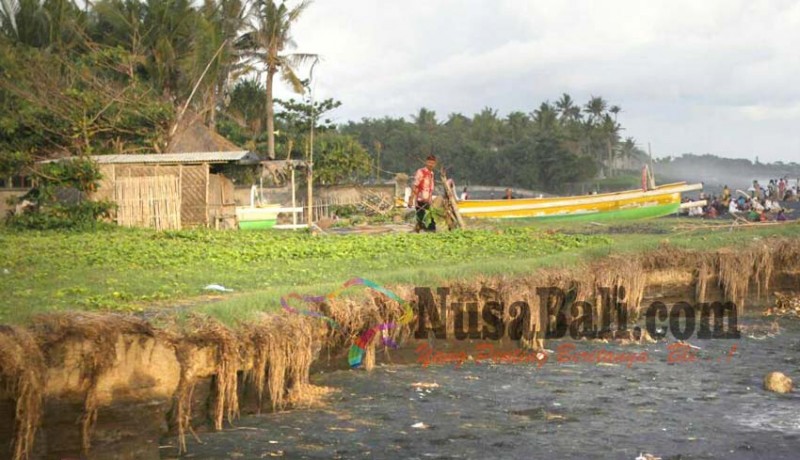 www.nusabali.com-25-km-pantai-tergerus-abrasi