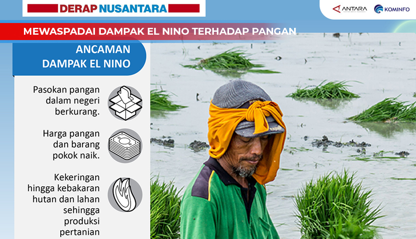 NUSABALI.com - Mewaspadai Dampak El Nino Terhadap Pangan