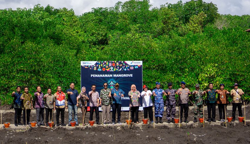 NUSABALI Com Pertamina FT Sanggaran Tanam Bibit Mangrove Hampir Punah